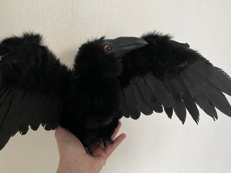 Ворон — Игрушки в смешанной технике (мех и глина): Арт (фото 6)