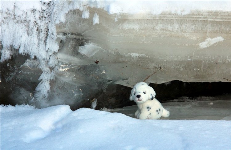 Зимняя прогулка Сони. Уникальная кукла от Сильвии Наттерер