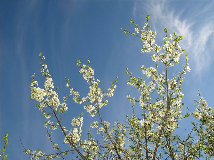 Усадьба Чукавино, Тверская область