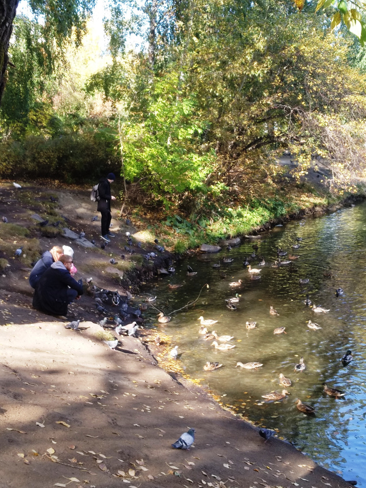 Тайна моего имени. Часть четвертая. Колумбу тоже не верили (фото 4)