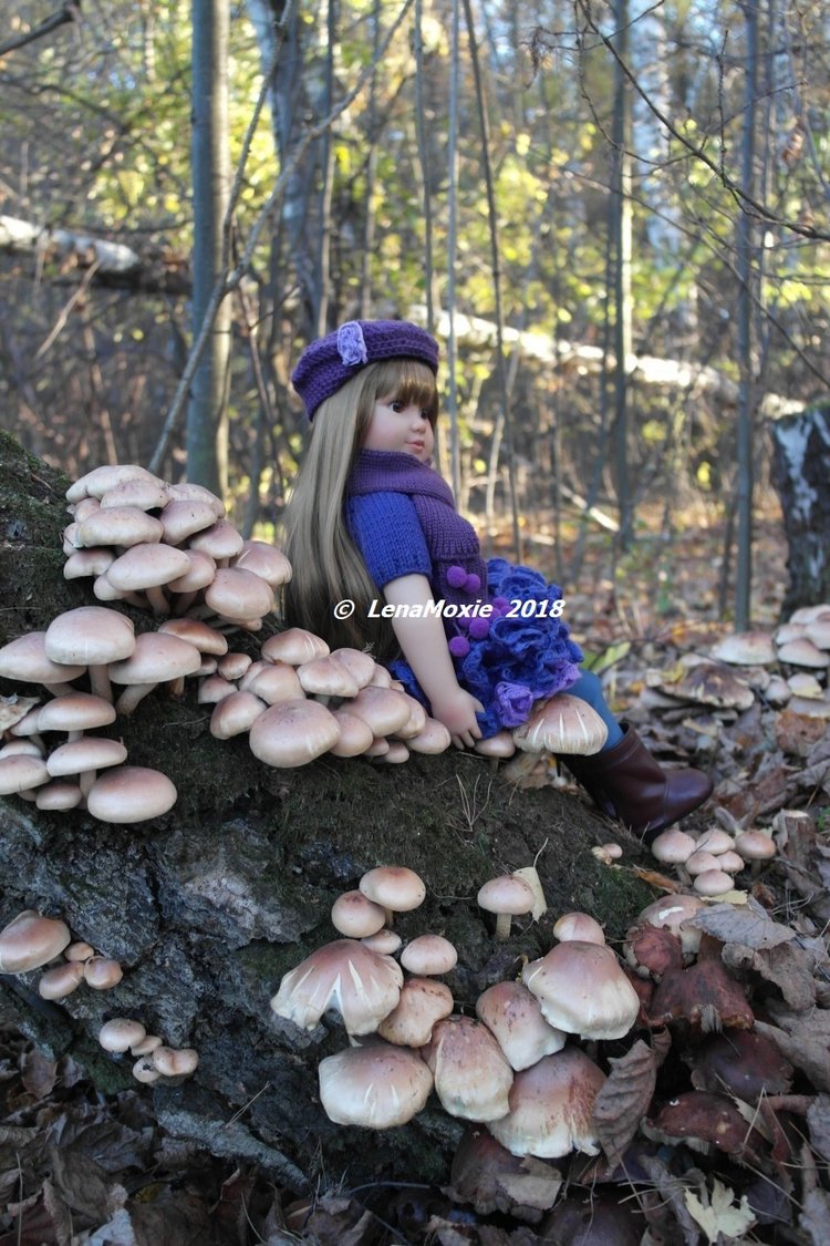 Прощание с теплой Осенью — Куклы Kidz'n'Cats (Соня Хартман): шарнирные 46 см