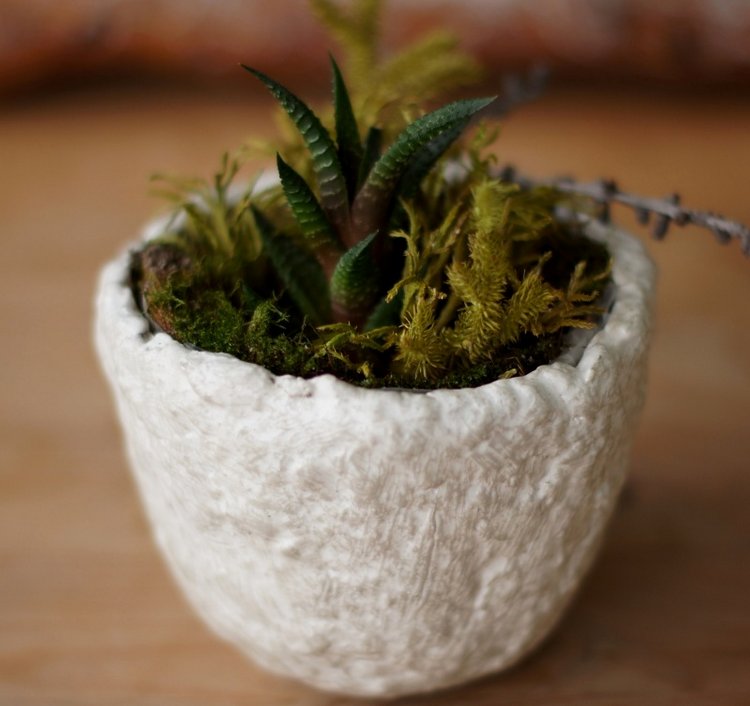 Кусочек природы в доме — Другие хобби и увлечения: сад (фото 8)