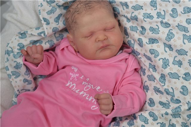 Мои новорожденные малыши. Кукла реборн | Бэйбики Мои новорожденные малыши. Кукла реборн (фото 7)