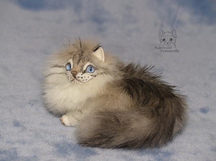 Котята Невские маскарадные, окрас Тэбби пойнт