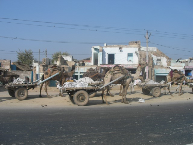 Сказочная Индия — Туризм и путешествия: фотоотчеты из поездок