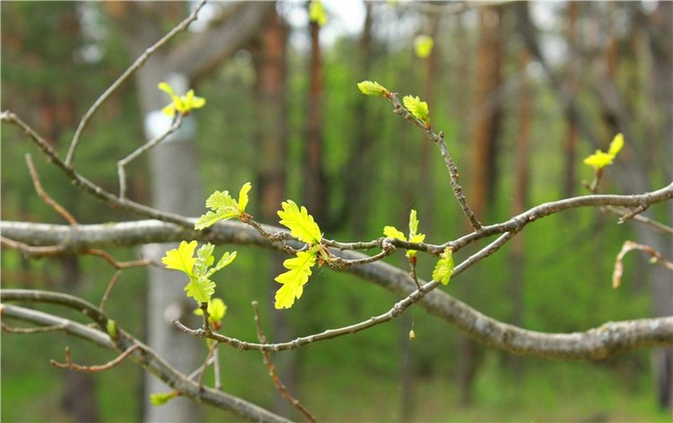 Женя-путешественница — Советские винтажные куклы (СССР): Ленигрушка