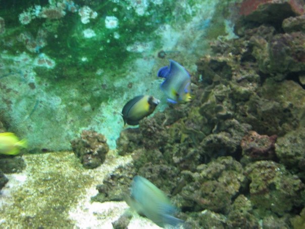 Путешествие на о. Кипр — Туризм и путешествия: фотоотчеты из поездок