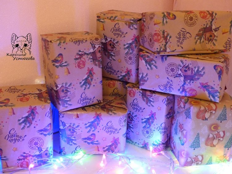 Снегири и новогоднее настроение