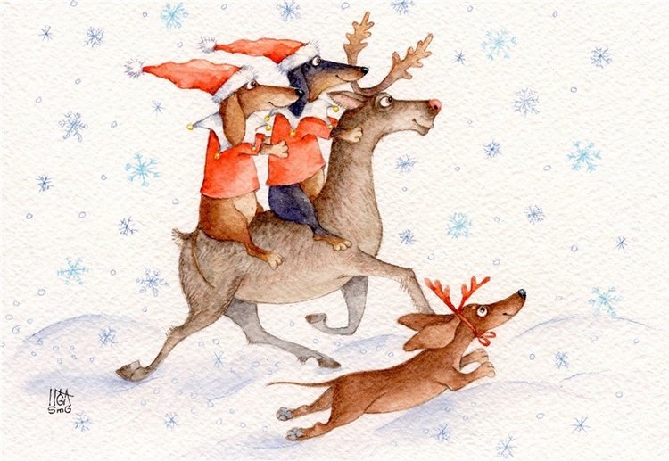 Предновогодние денёчки! Улыбнёмся вместе! Смешные таксы Инги smG