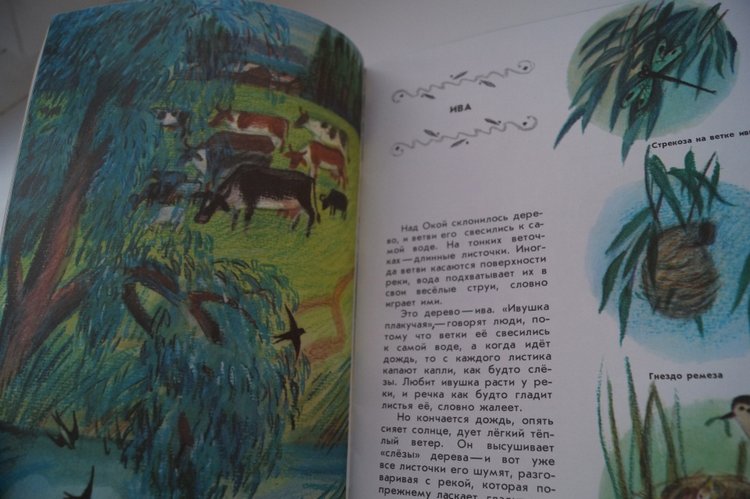 Мои книги детства и юности