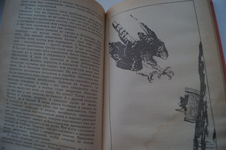 В каникулы особенно хочется читать. Книги моего детства и юности