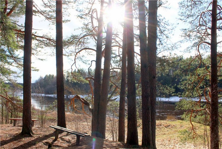 Тверской "Луксор" — Куклы Meadow dolls (Медовушки): BJD (БЖД)