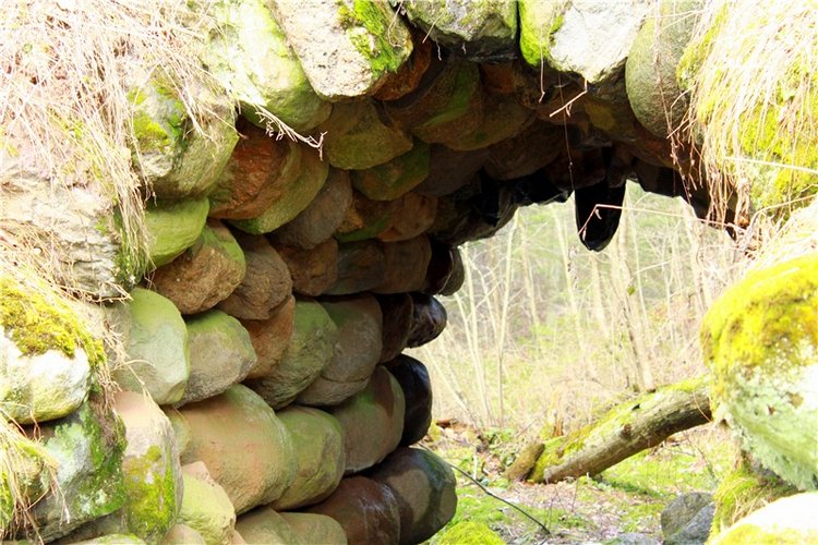 Тверской "Луксор" — Куклы Meadow dolls (Медовушки): BJD (БЖД)