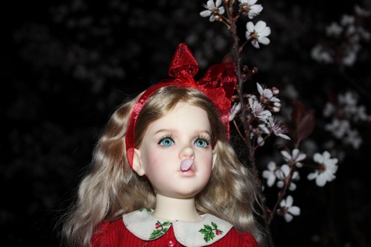 Розочка в вечернем саду — Куклы Dollshe Craft (Доллше): BJD (БЖД) (фото 7)