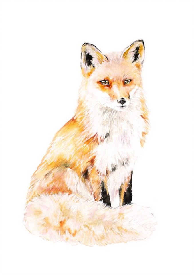 BrigitteMayArt - Иллюстрированная флора и фауна by Brigitte May (фото 4)