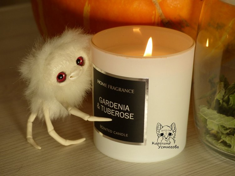 Halloween и маленькие паучки