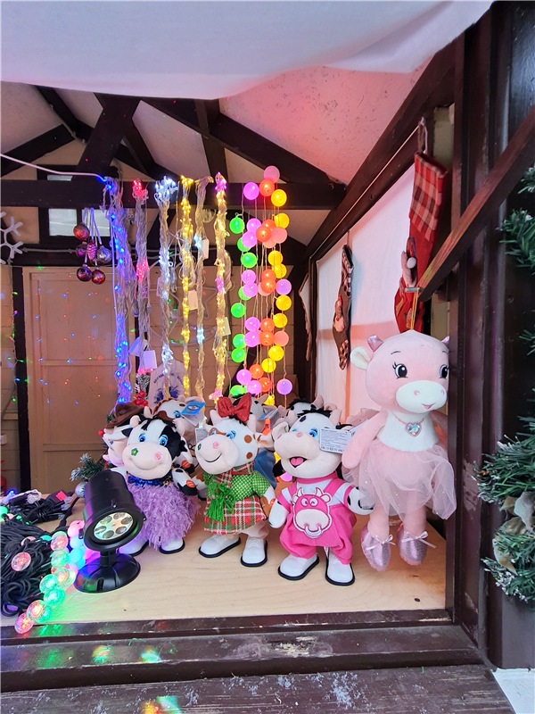 Рождественская Ярмарка в Твери