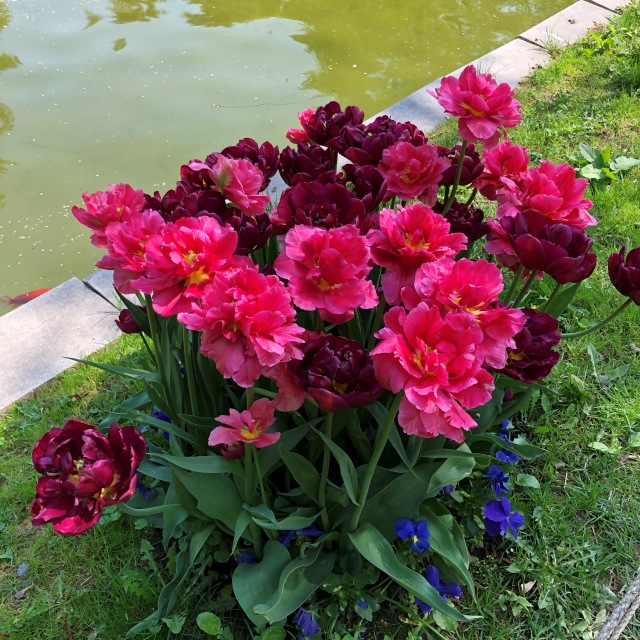 Тони Старк: приключения без брони. Был месяц май, половина вторая