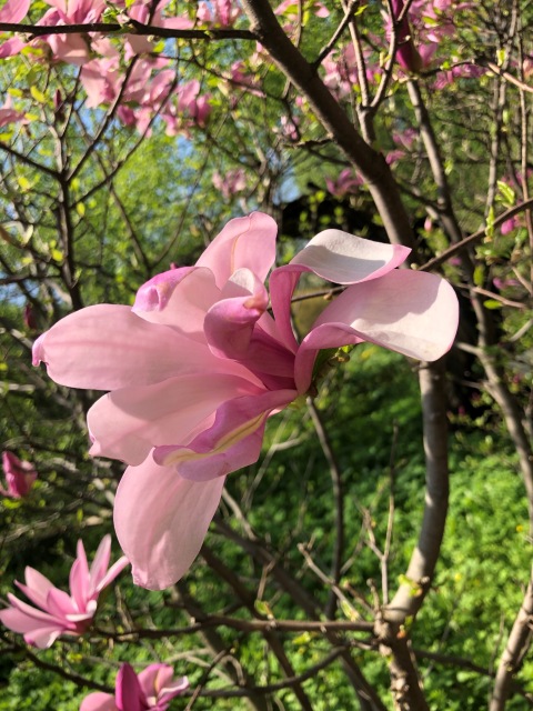 Тони Старк: приключения без брони. Был месяц май, половина вторая