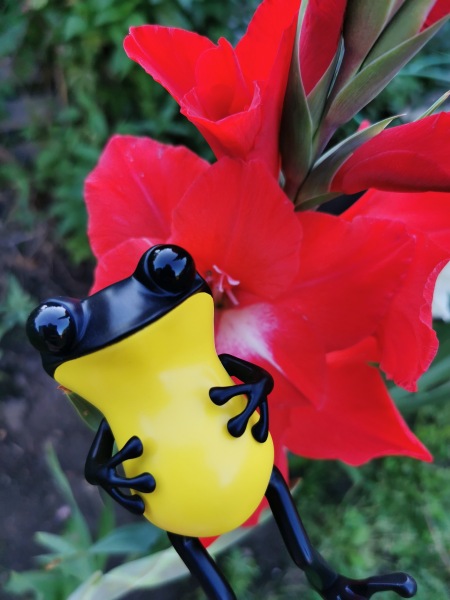 Лягушки Apo Frog от Twelvedot (фото 10)