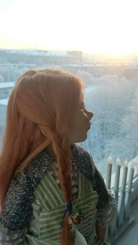 Неожиданное приобретение. Миалотта от Цвергназе - рыжая, хитрющая, сама себе на уме (фото 7)