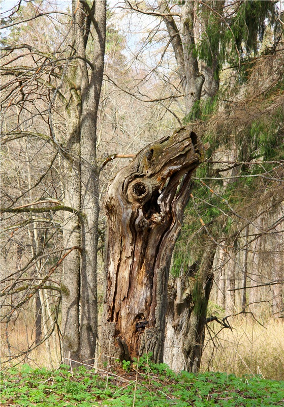 Усадьба Чукавино, Тверская область
