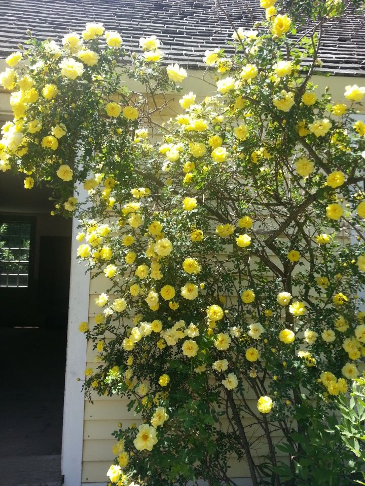 Прокатимся на машине времени? Поселение Старбридж. Новая Англия. 1830 год. Часть третья, заключительная