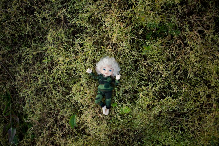 Возвращение эльфов из Усово | Бэйбики Возвращение эльфов из Усово