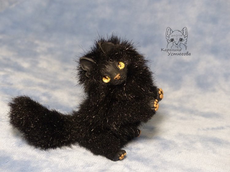 Кот породы Мейн-ку́н, черный. Я к удаче (фото 4)