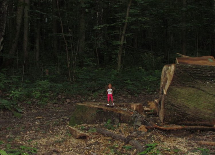 Веселое путешествие по Парку Измайлово - 2 (фото 10)