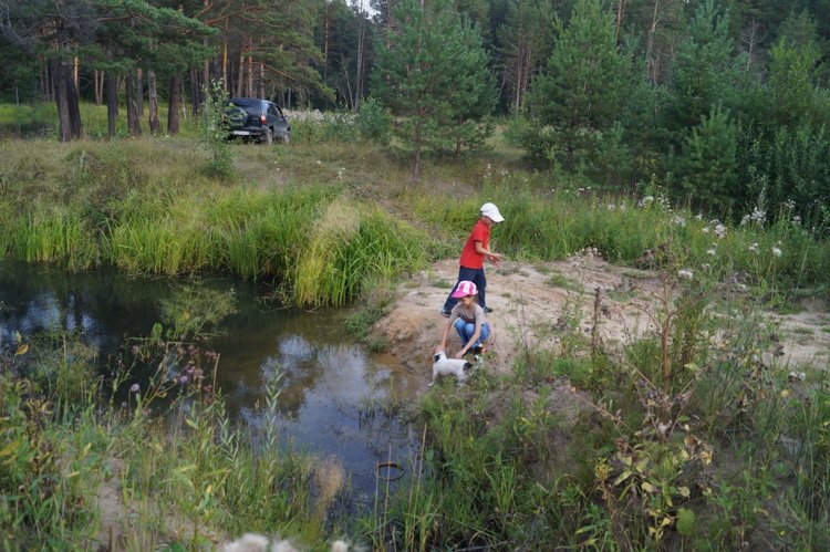 Год назад, в Рождество нам Бог собачку послал найдёнка Белочка (фото 9)