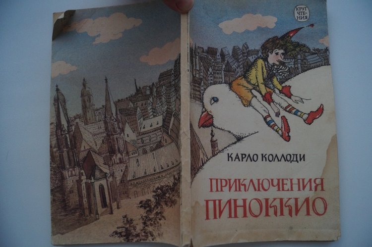 В каникулы особенно хочется читать. Книги моего детства и юности (фото 5)