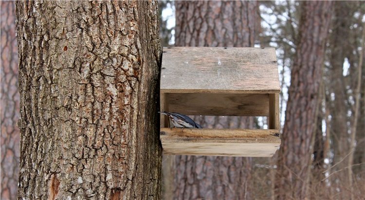 Путешествие в первый день Весны