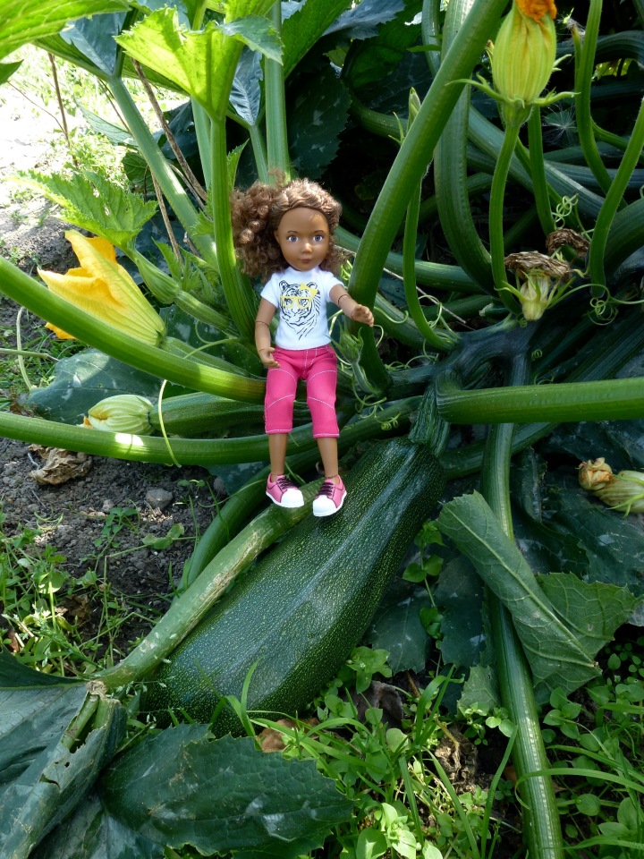 Отдых в деревне с Джой — Туризм и путешествия: фотоотчеты из поездок