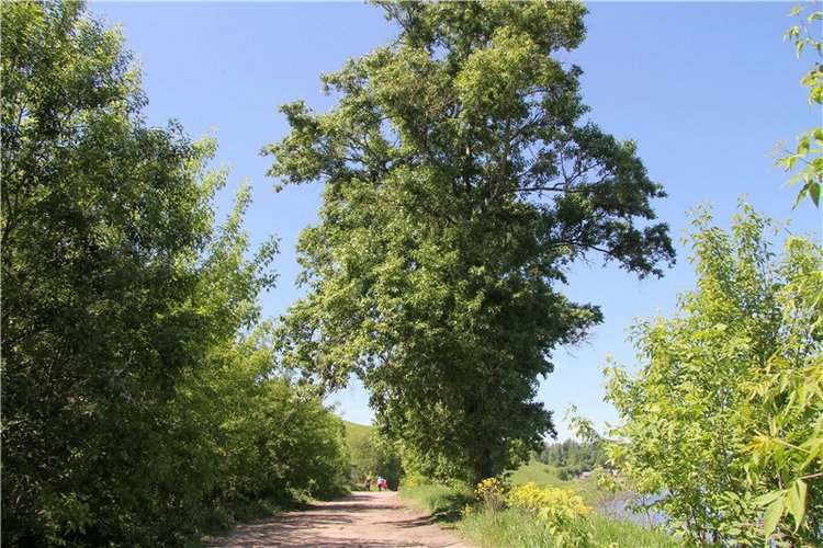 Сентябрьское путешествие в Старицу, третья часть