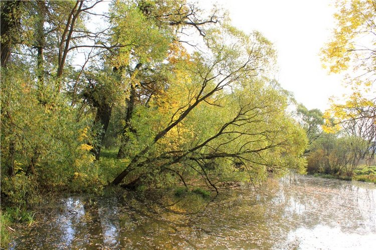 Путешествие Dal Hangry в Грузины
