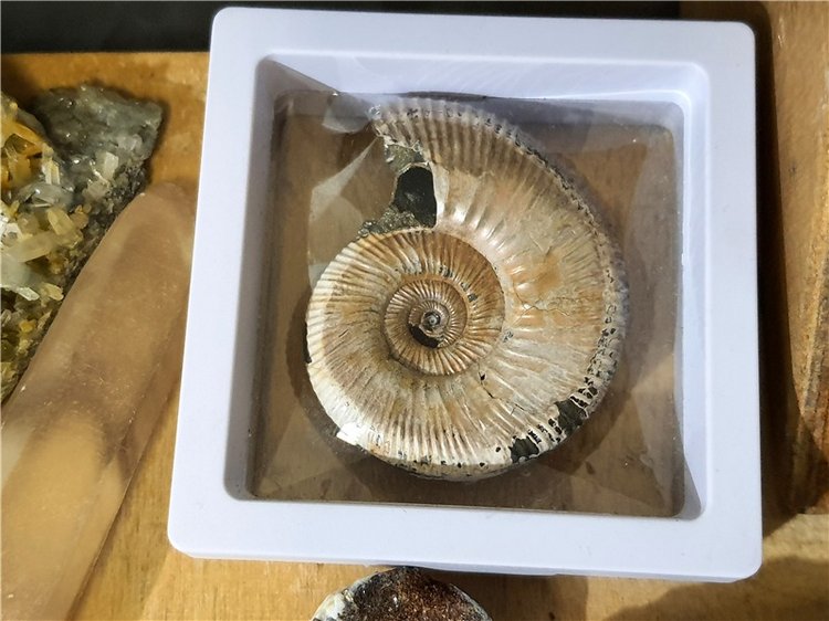 Выставка "Самоцветы Мира" в Твери, продолжение