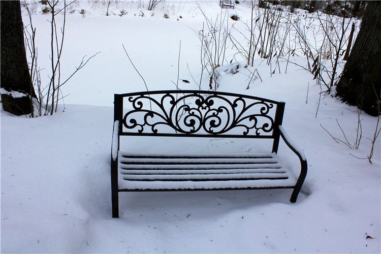 Тверской Ботанический Сад, заключительная часть