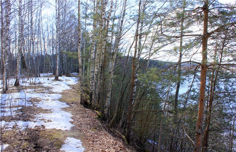 Весна в "Саду Камней" | Бэйбики Весна в "Саду Камней" — Куклы Meadow dolls (Медовушки): BJD (БЖД)