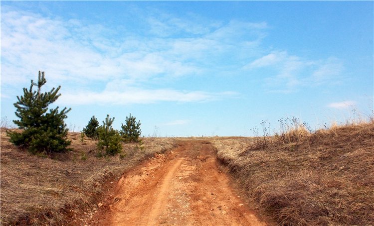 Путешествие Имани в ПанИку (фото 7)