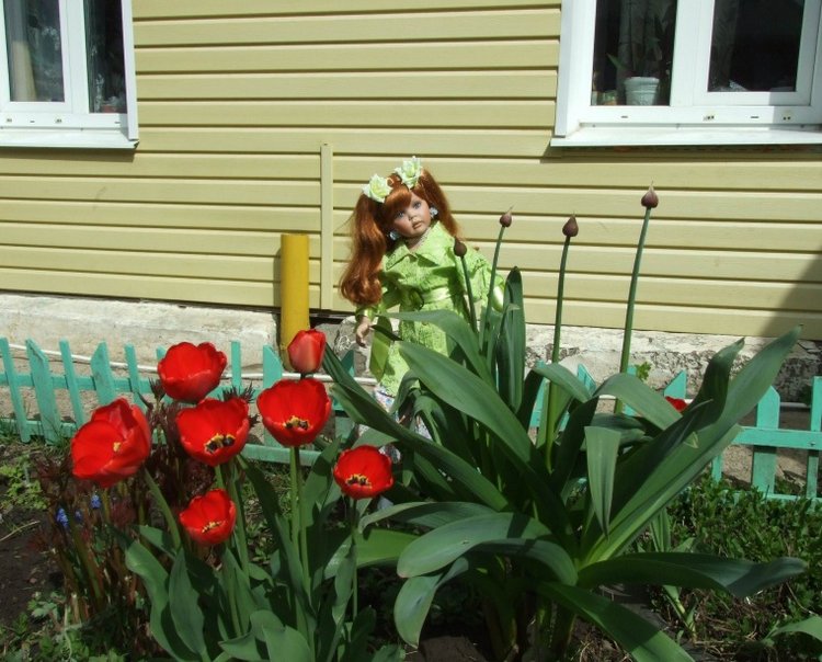 Подводя итоги уходящего года... или наше пополнение в кукольной семье