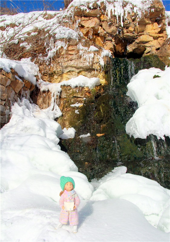 Зимняя прогулка Сони. Уникальная кукла от Сильвии Наттерер