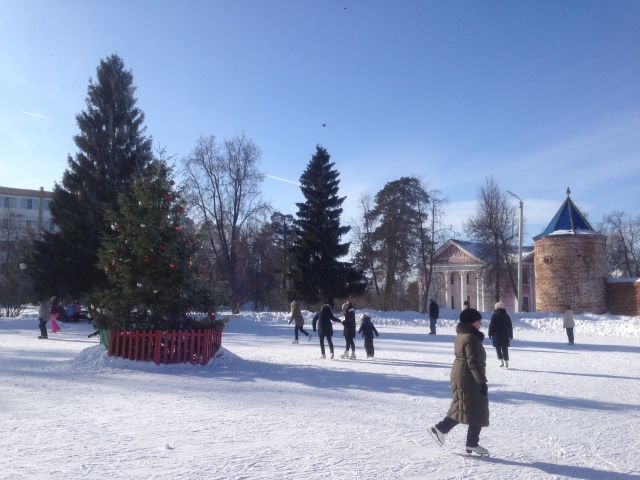 Зимняя Гюнхильд мечтает о Летней Штефке, помогите найти! S. Skille для Gotz