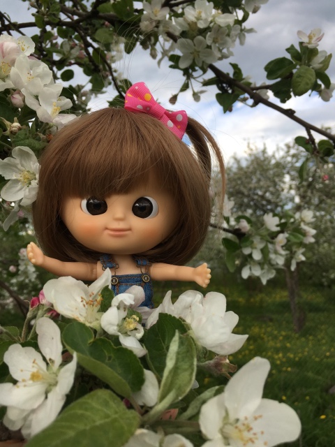 Поездка на дачу с Mui-chan, Migliorati и Sonny angel