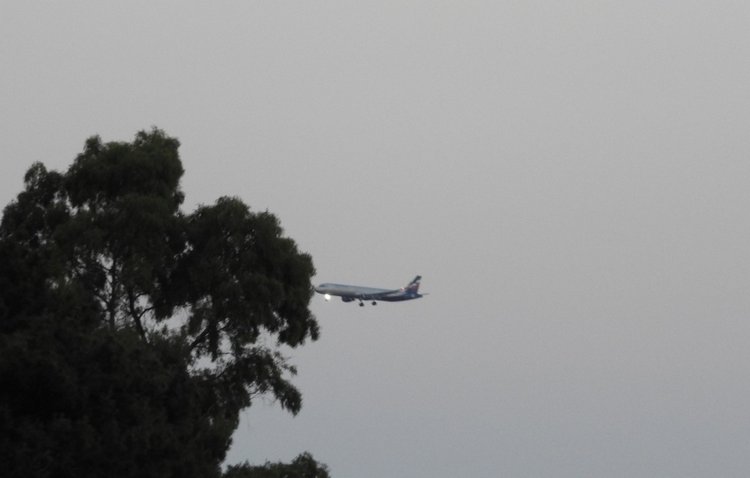 Краснодарский Край, Сочи-Адлер, Санаторий «Южное Взморье»