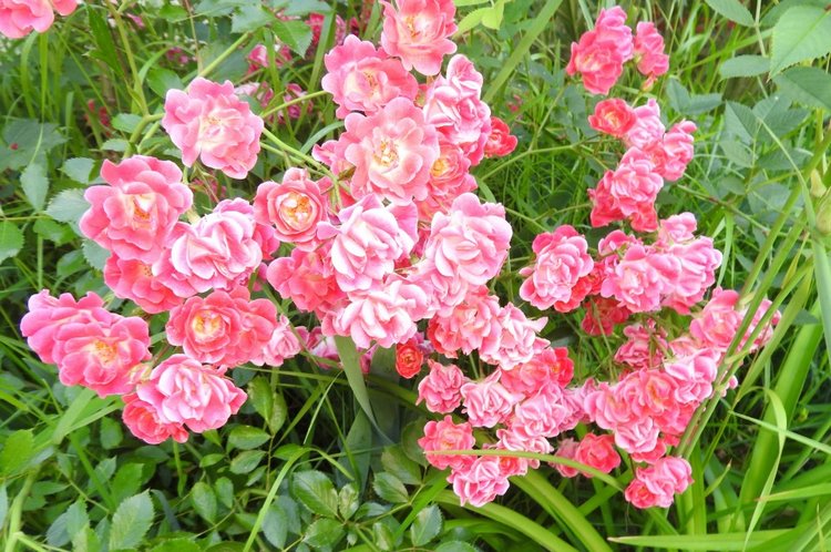 Краснодарский Край, Сочи-Адлер, Санаторий «Южное Взморье»