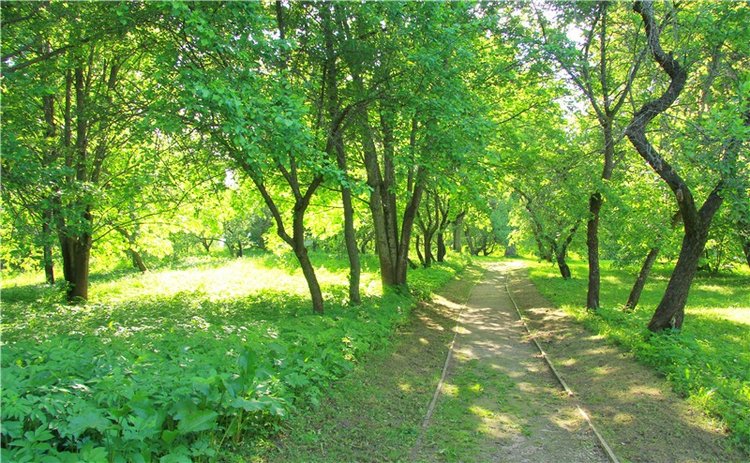 Моё Солнышко — Антикварные куклы Jumeau (Жюмо): Tete Jumeau