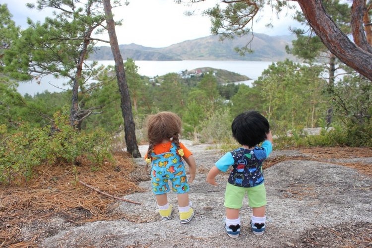 Базовичок обыкновенный. Дикий, но симпатичный | Бэйбики Базовичок обыкновенный. Дикий, но симпатичный (фото 7)