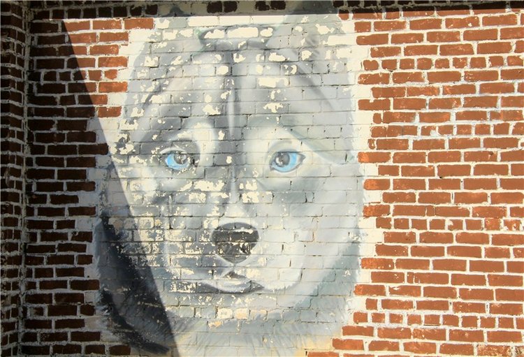 Нийя. Воспоминание об осени, Чукавино, Эко-Лэнд (фото 10)