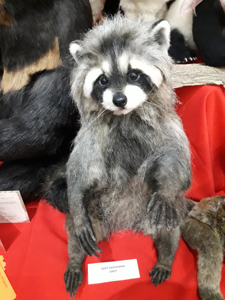 Искусство Куклы. Гостиный двор 2018. Выставку моими глазами